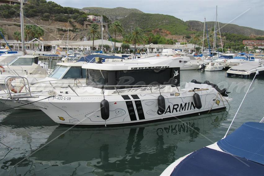 Sentinel Cabin Cruiser 28