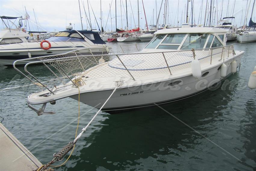 Tiara 3100