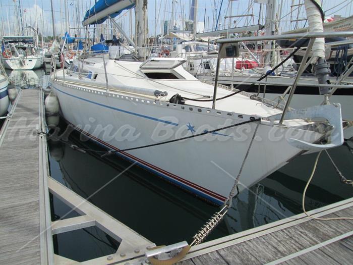 Belliure 39