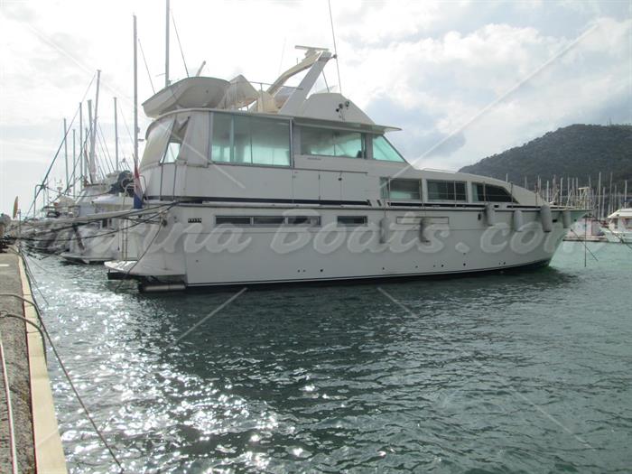 Bertram 58