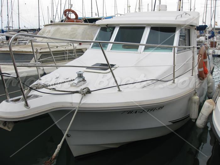 Goymar 800