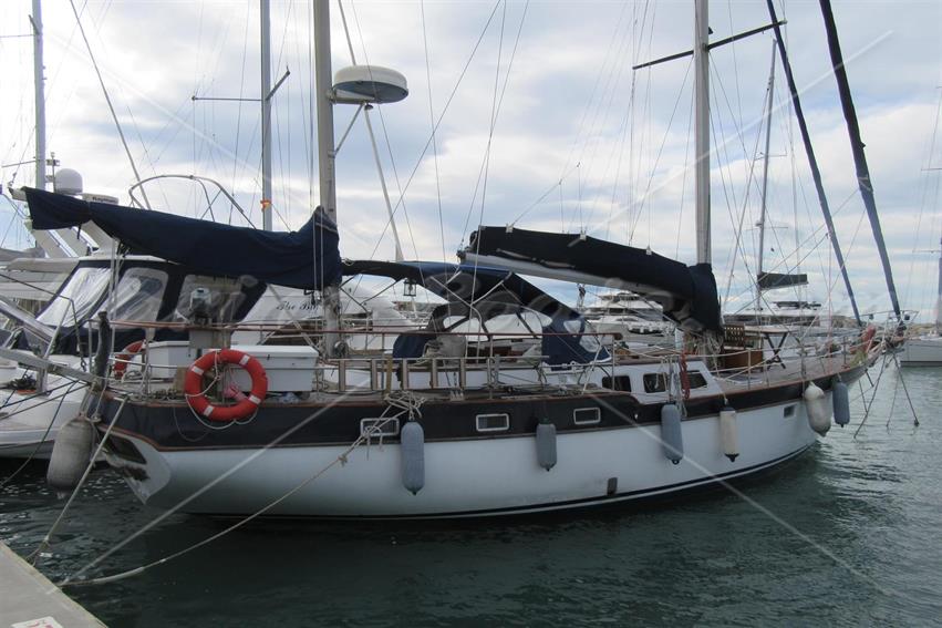 Belliure 50