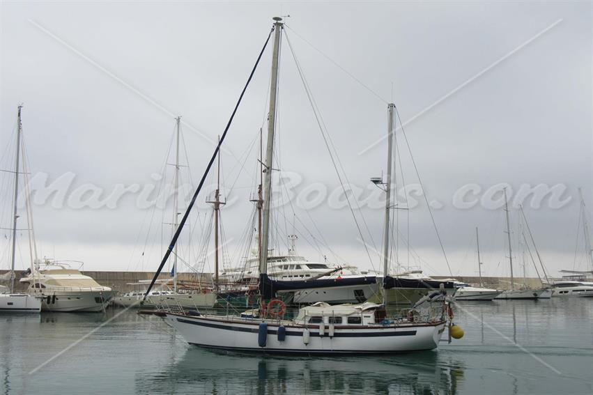 Belliure Endurance 35