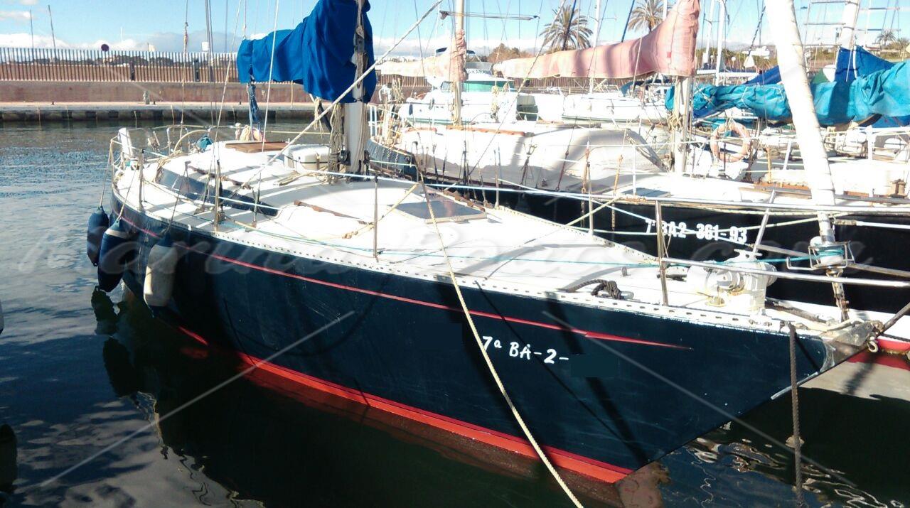 Puma 38