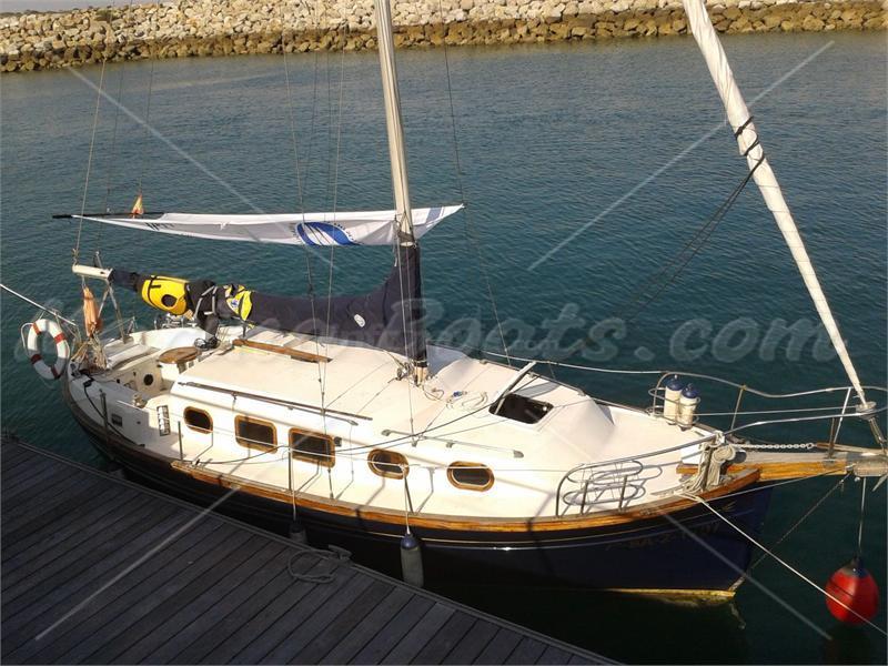 Myabca 28 Delfin