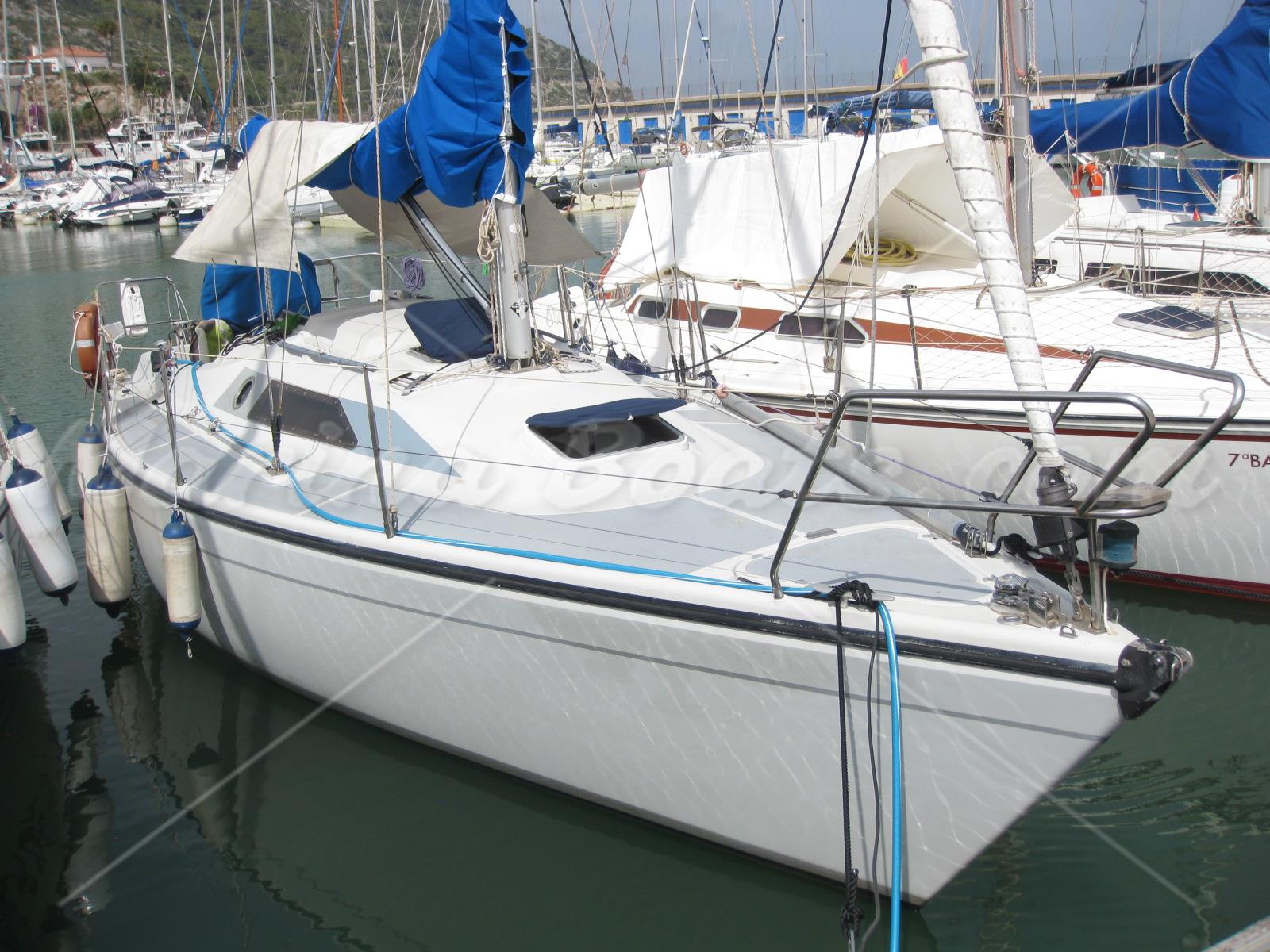 Dehler 31