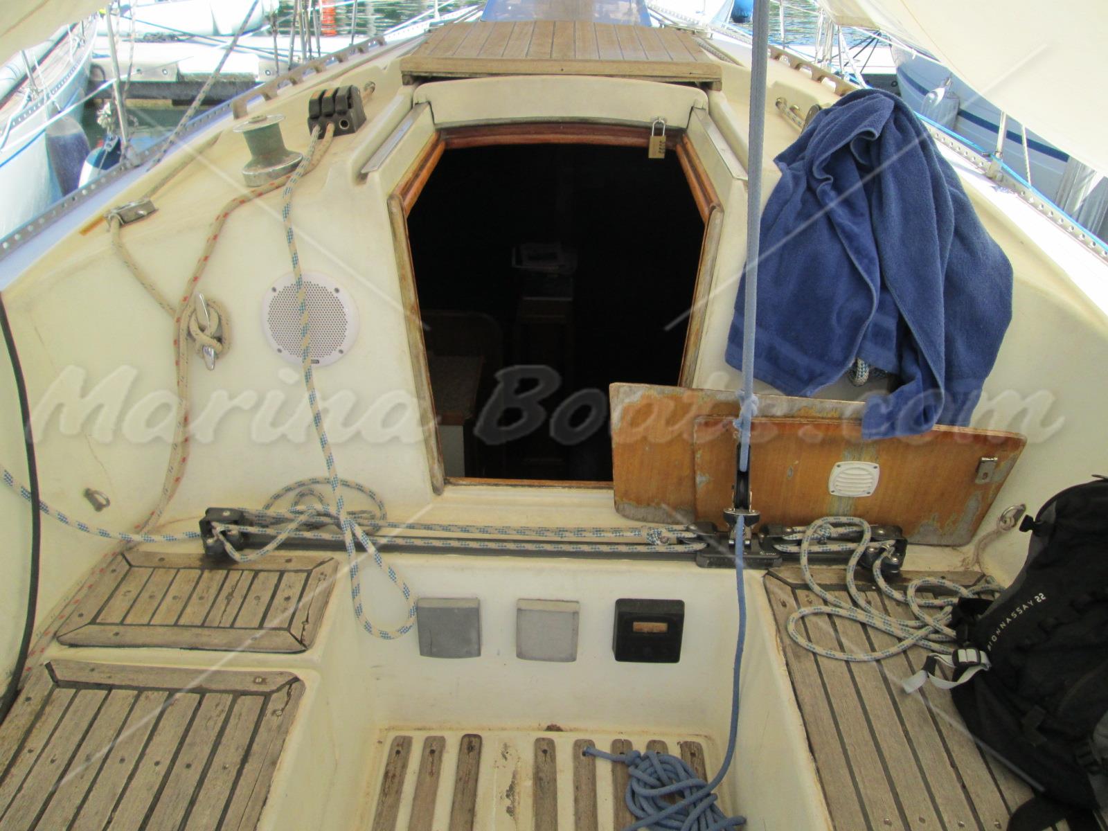 puma 38 velero