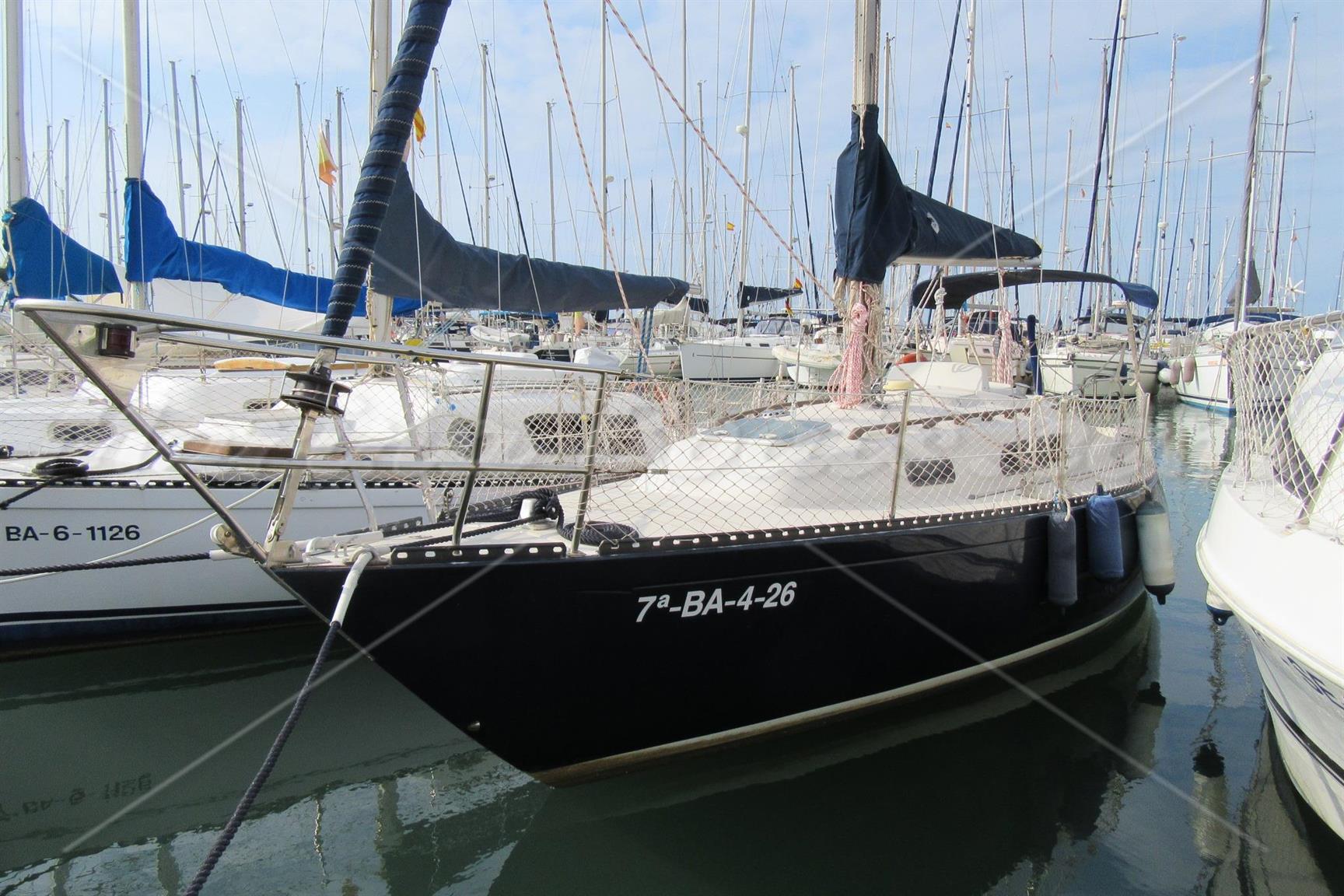 Puma 26