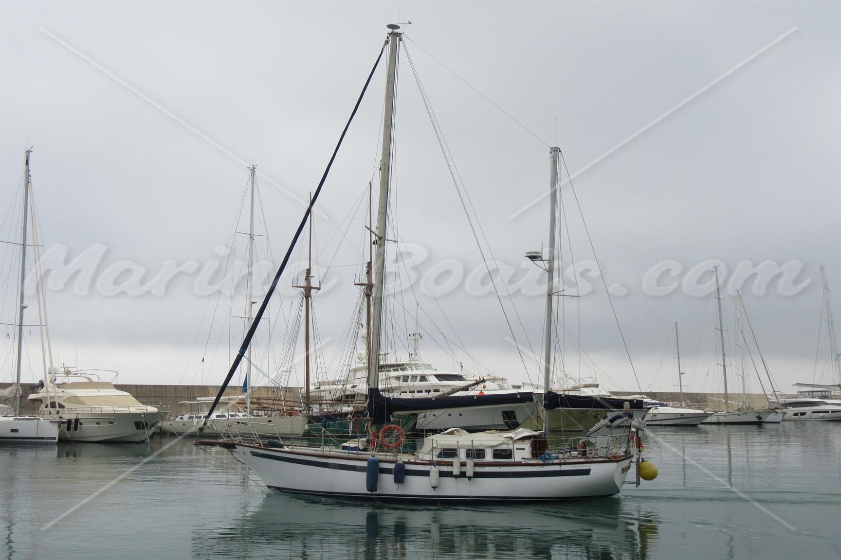 Belliure Endurance 35