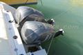 Robalo R 305 Motores fuera borda