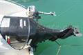 Galeon Galia 700 Motor fuera borda