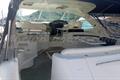 Sea Ray Sundancer 515 Vista general 