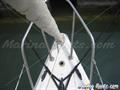   Macgregor  22 botalon de proa 