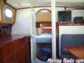   Delfin 31  salon