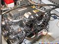 Sessa  Sessa Oyster 27 motor