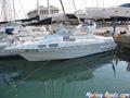 Sealine 290 babor