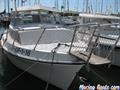 Rodman 700 general