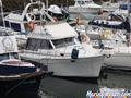 Bayliner  Bayliner 3388 de proa