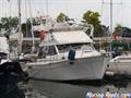 Bayliner  Bayliner 3388 costado