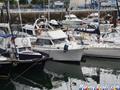 Bayliner  Bayliner 3388 proa