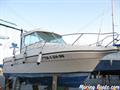 Astinor  Astinor 700