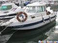 595 Delfin 595