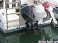  595 Delfin 595 motor