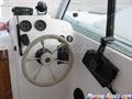  595 Delfin 595 mandos