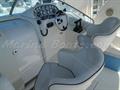 Rio 29 Day cruiser puesto de mandos