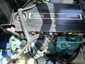 Rio 29 Day cruiser motor