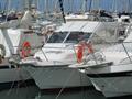 Rodman 790 Fisher Sport vista general