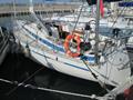 Bavaria 36 amura de babor