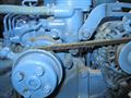 Myabca 28 Delfin motor