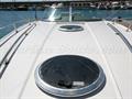 Cobalt 343 solarium proa 