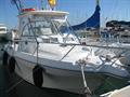 Quicksilver Offshore 900 vista de proa