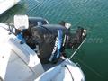 Quicksilver Offshore 900 Motores