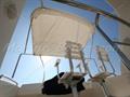 Faeton 1040 Bimini