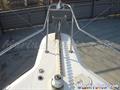 Sea Ray  Sea Ray 310 botalon
